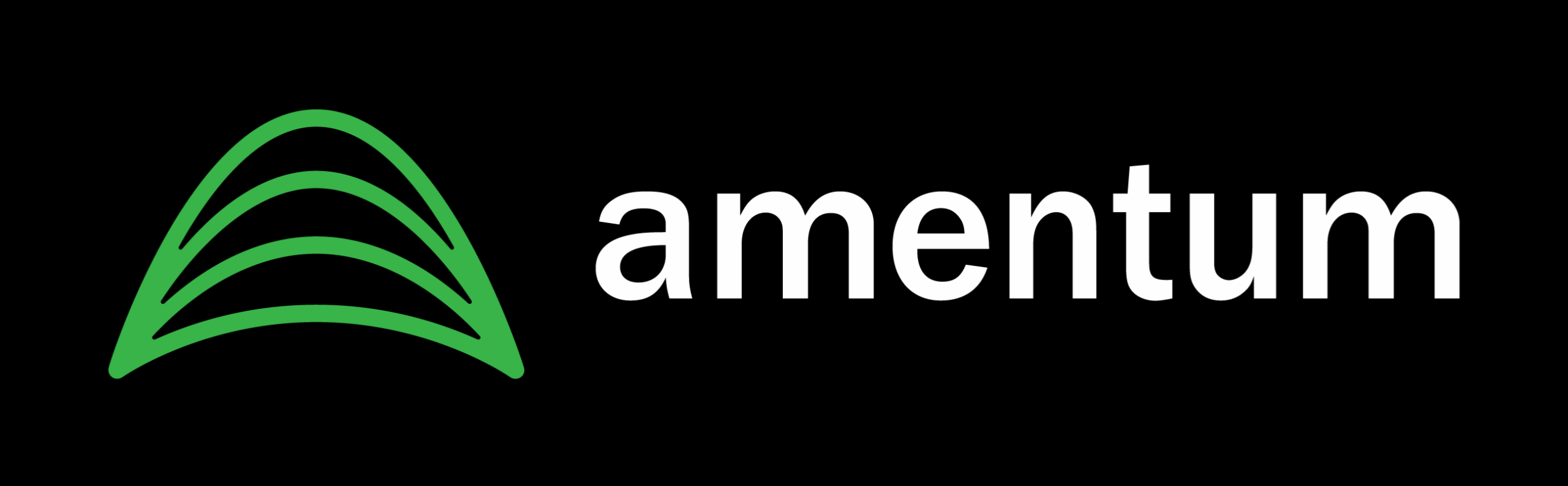 Amentum logo featuring a green, curved, three-line design to the left of the word “amentum” in white lowercase letters on a black background.