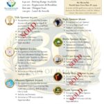 Preview of page 2 of the 2026 Golf Invitational sponsorship brochure