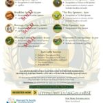 Preview of page 3 of the 2026 Golf Invitational sponsorship brochure